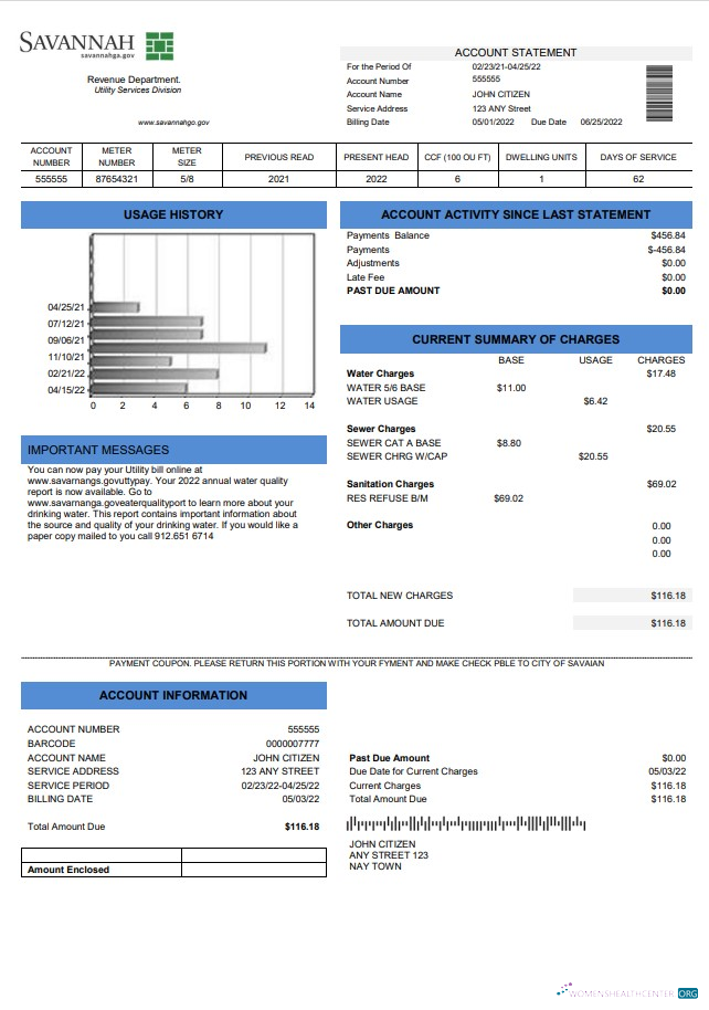 download download USA Georgia Savannah utility bill template in Word and PDF format PDF template PDF template